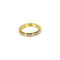 Brilliant Rotating Ring Plated in 18k Gold